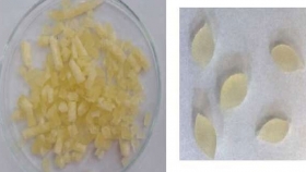 Brasil: aceite esencial de tomillo en almidón de maíz combate larvas de aedes aegypti
