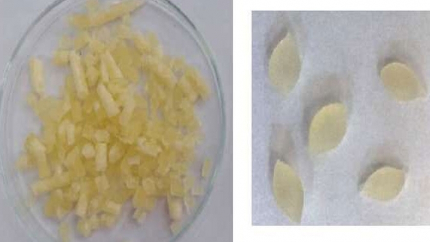 Brasil: aceite esencial de tomillo en almidón de maíz combate larvas de aedes aegypti