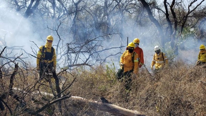 La provincia trabaja en la extinción de focos de incendios y la preservación de la flora y fauna regionales