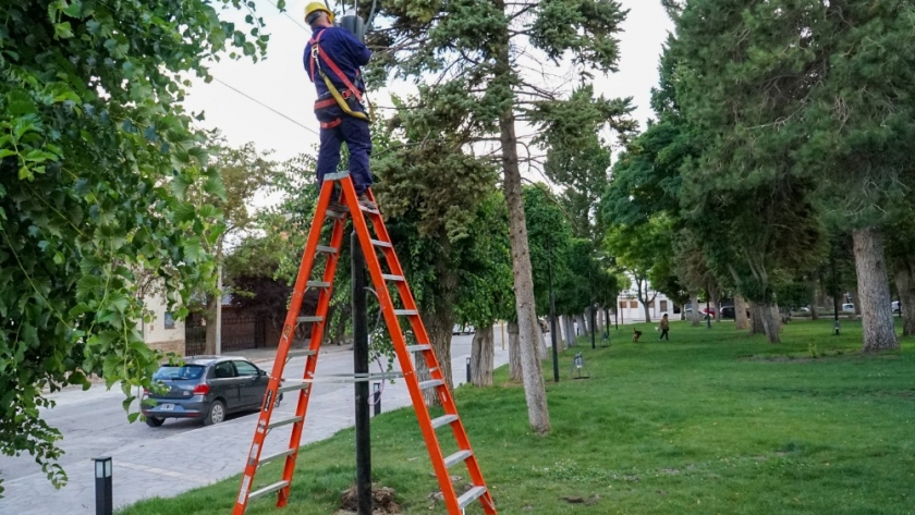 Recambio de luminarias LED en la Plaza de los Próceres: más iluminación y servicios para los vecinos