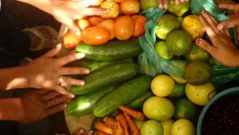 Seguridad alimentaria, un gran reto ante el COVID-19