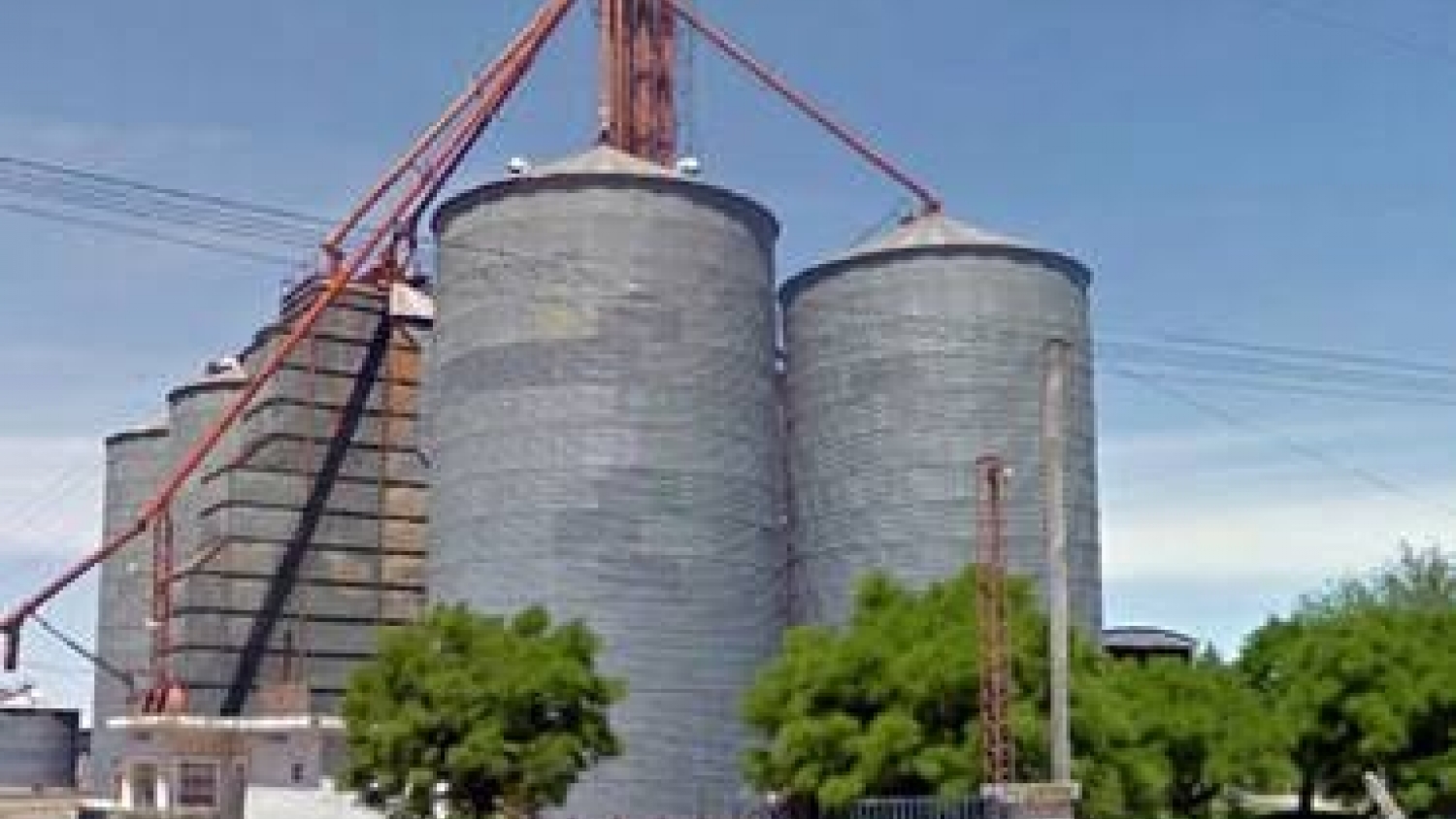 Agro en Naschel: acopio de cereales y desarrollo agroindustrial