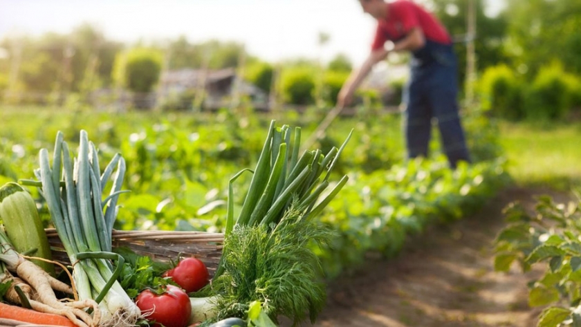 Capacitación en huertas agroecológicas en Maimará