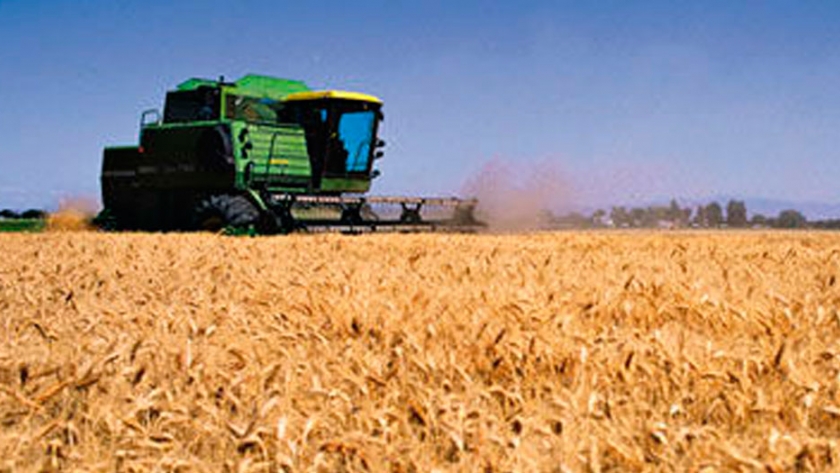 Un market place para el agro que garantiza que el producto llegue