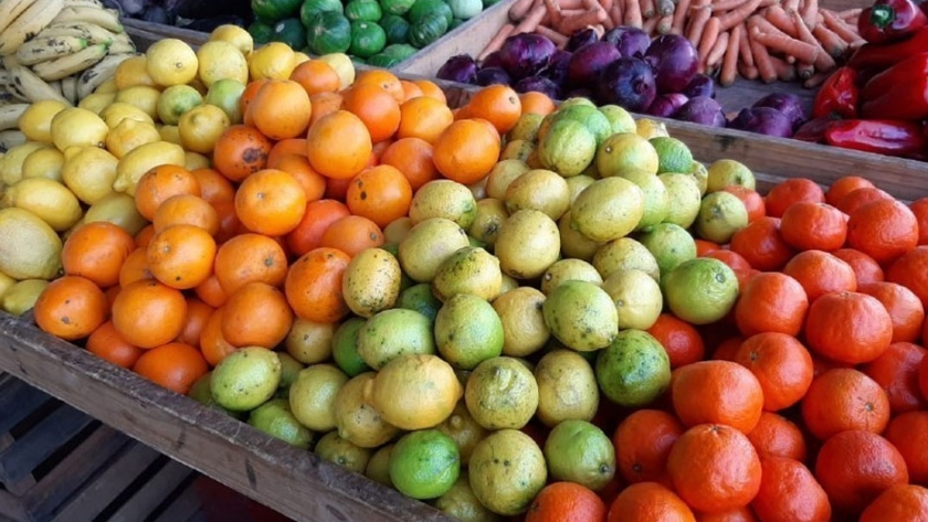 Se cumple con normalidad el protocolo para camiones extraprovinciales en el Frutihortícola