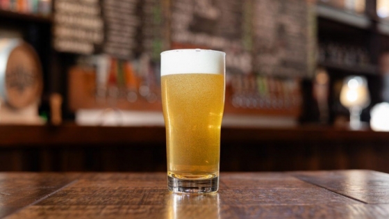 Antares y CONICET transforman el bagazo de cerveza en bioestimulante vegetal con impacto climático y agrícola