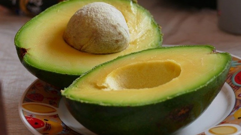 Tres microorganismos mejoran el crecimiento del aguacate Hass