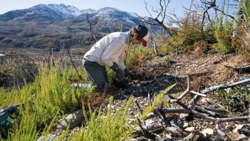 Asociación de Amigos de la Patagonia, preocupados por el legado ambiental que dejamos en la Argentina