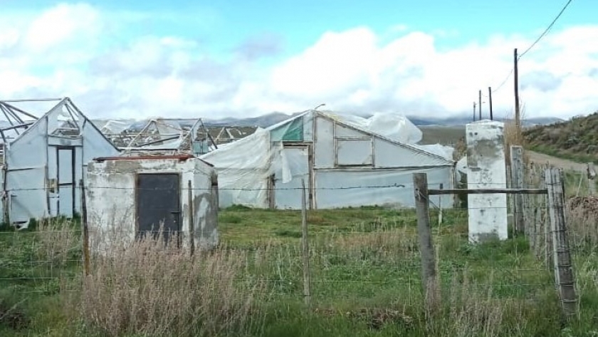 La Provincia reconstruirá invernáculos en desuso en Tecka