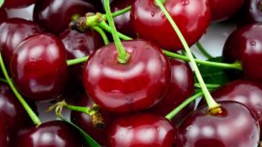 Basterra y el gabinete agropecuario analizaron un plan de desarrollo para la producción de cerezas
