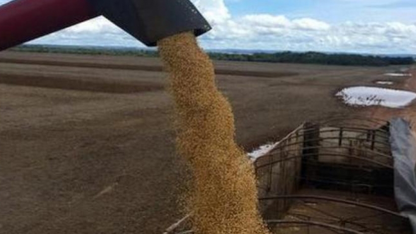 Productores de soja de Brasil tendrían cosecha récord pese a sequía