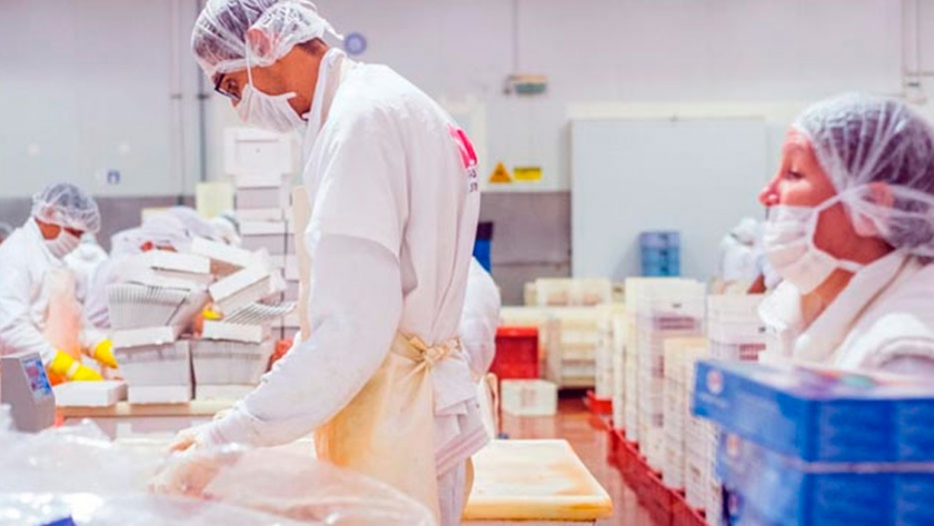 La importancia de la sustentabilidad en el mercado