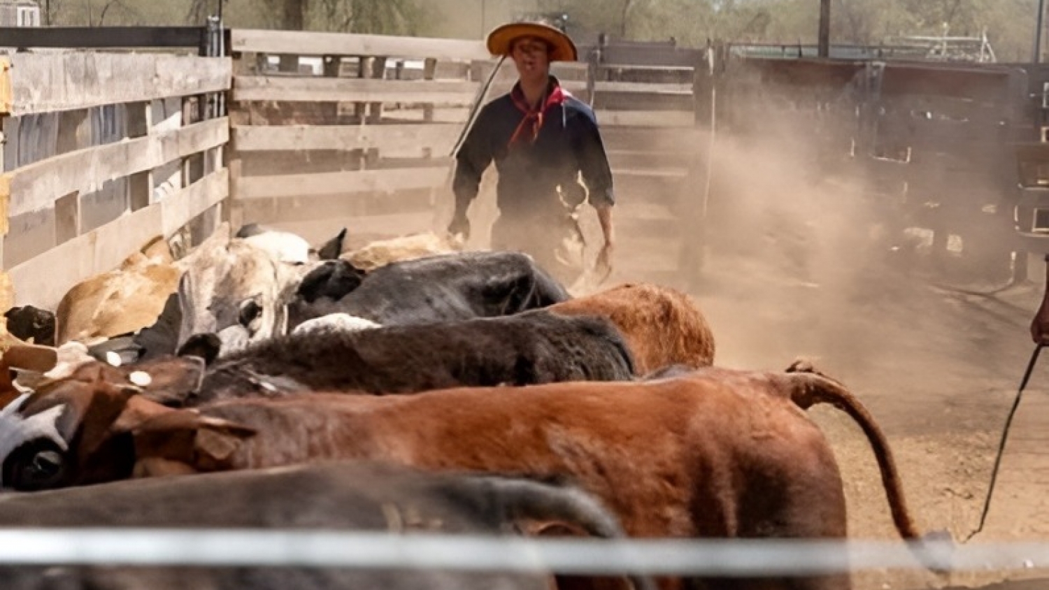 Toay se suma al circuito de exposiciones ganaderas