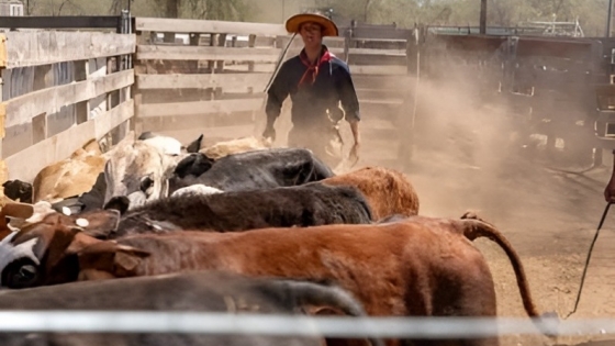 Toay se suma al circuito de exposiciones ganaderas