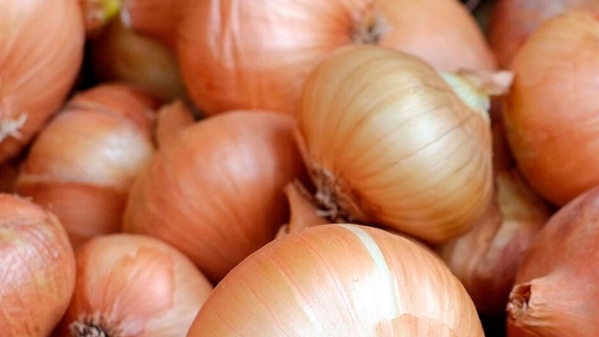 Empaques y cámaras de frío deberán declarar el origen de la cebolla que procesen