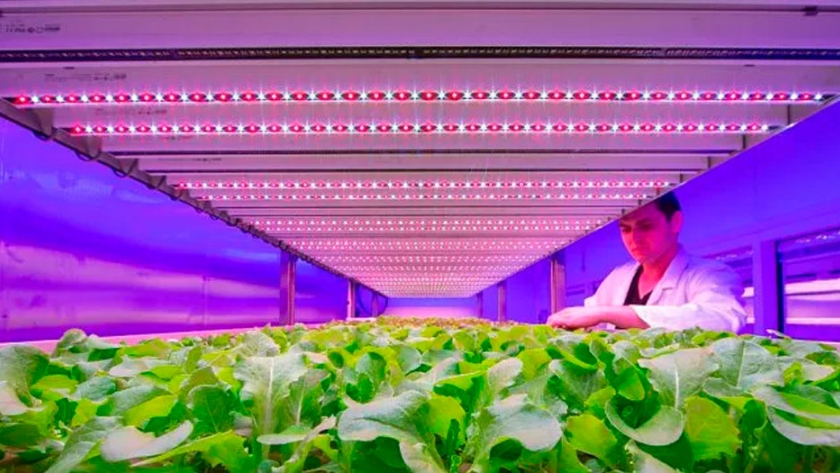 El mundo que viene: nuevas tecnologías para alimentos, salud y seguridad