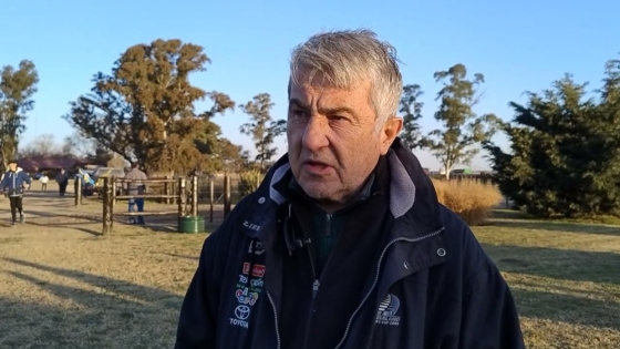 De los medios al campo: la historia del abogado que construyó una empresa ganadera líder en genética bovina