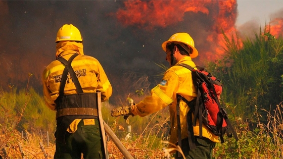 Parques Nacionales renovará los contratos de brigadistas de incendios forestales