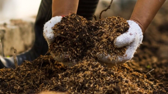 Compost, lobricompuestos y bocashi: la fórmula en la huerta para mantener un suelo productivo