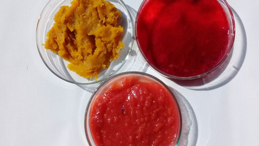 El INTA quiere crear un dulce de batata con propiedades antioxidantes