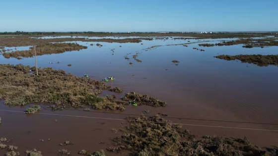 FAO destina US$500.000 para reactivar la producción rural en Bahía Blanca y Chaco tras desastres climáticos