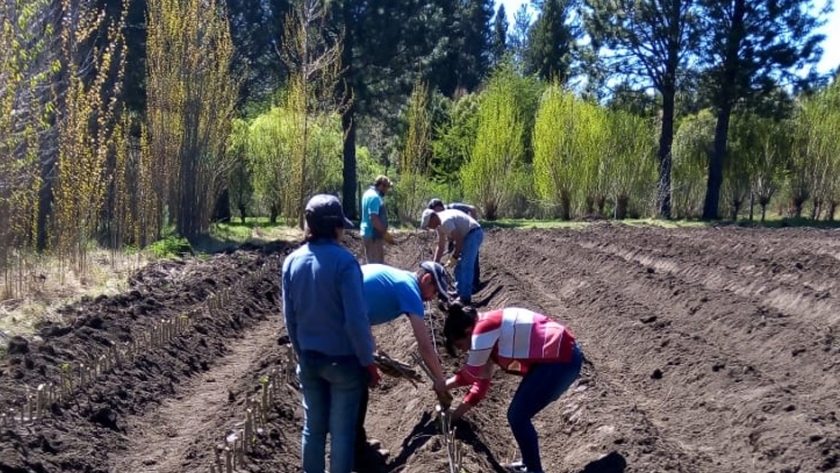 El gobierno del Chubut amplía la producción del vivero de Corcovado con especies nativas y exóticas