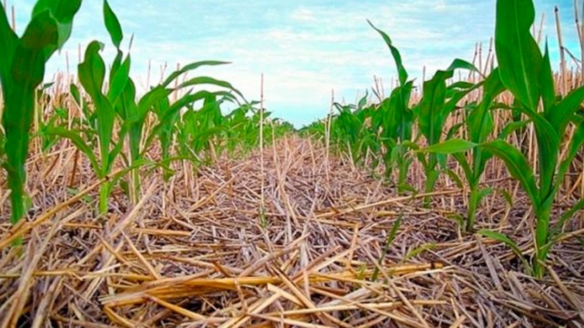 Vamos por más agricultura sustentable certificada