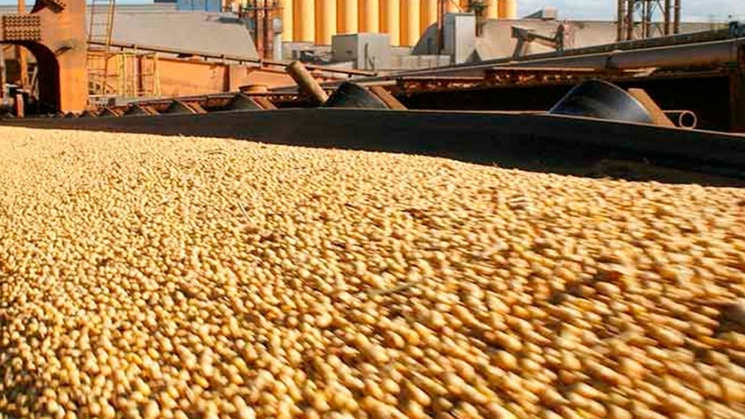 Las exportaciones agroindustriales argentinas continúan operando con normalidad