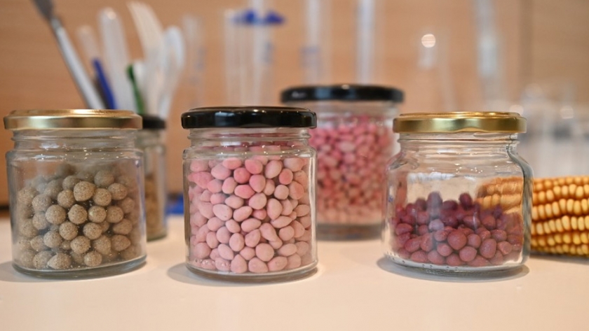 Granos encapsulados: Tecnología para mejorar los rindes