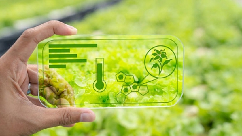 Agrifoodtech funding drops 12.5% YoY in H1 2024