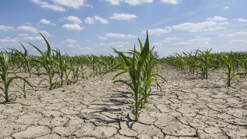 La sequía ya alcanza a 11 provincias y genera pérdidas en la actividad agropecuaria