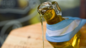 La producción de aceite de oliva virgen en Argentina y su apuesta por la calidad