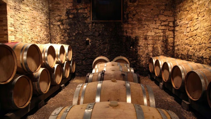 ¿Puede morir un vino? Cuál es el momento para consumir un ejemplar de guarda