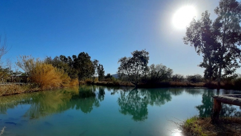 El Parque de la Biodiversidad comenzó a producir árboles nativos
