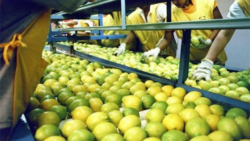 UATRE Tucumán en alerta por suspensión de pago del Intercosecha