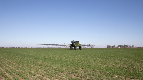 La baja fertilidad del suelo limita hasta un 50% los rindes agrícolas en Argentina