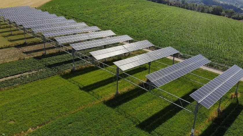 La energía solar fotovoltaica llega a la agricultura de Delhi, India