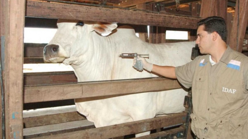 Actualización del sistema de vigilancia y notificación de enfermedades animales