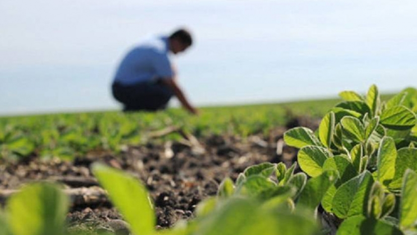 El gobierno provincial realiza curso de actualización para ingenieros agrónomos del Chubut