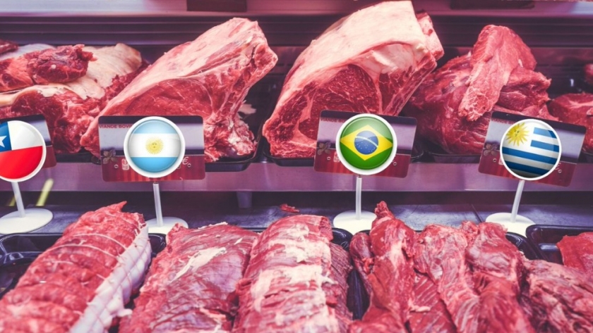 Según datos de IERAL, la carne en la Argentina es entre un 4 y 27% más barata que en otros países de la región