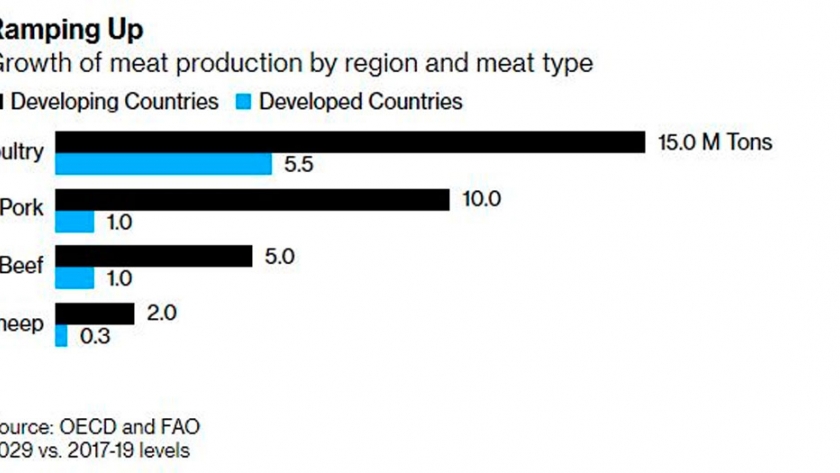 El futuro de la carne es el pollo