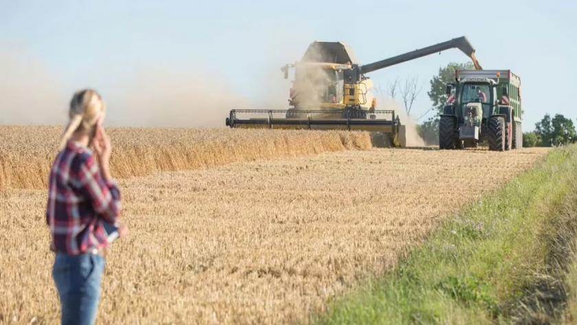 La brecha de género en el campo: avances y desafíos en la remuneración