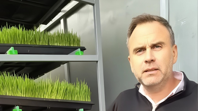 Innovación patagónica: productor de Viedma crea forraje hidropónico con bagazo de cerveza que atrae interés internacional