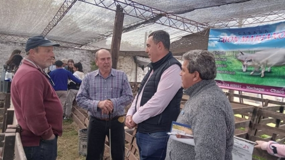El Gobierno acompañó en Charata la 25° Fiesta Provincial del Cerdo