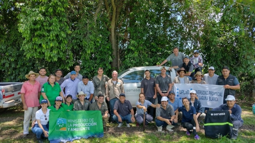 Capacitación en vigilancia y monitoreo de enfermedades y plagas del banano en Formosa