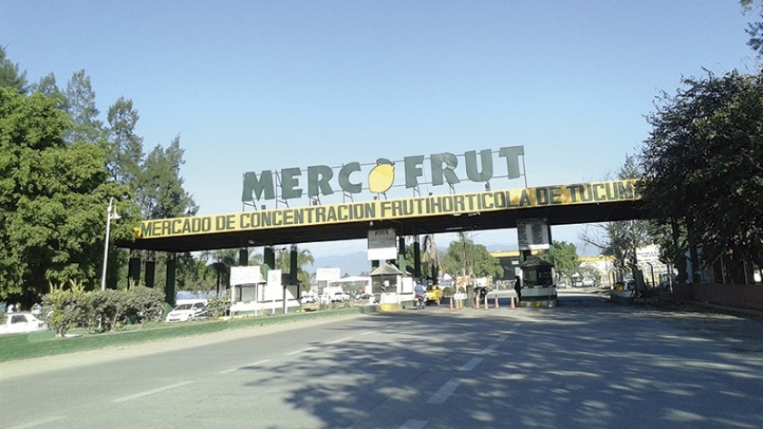 Buenas prácticas de manufactura en el Mercofrut