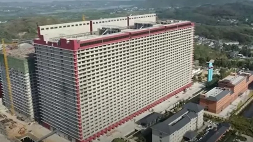 El impactante edificio de 26 pisos que construyeron para criar cerdos