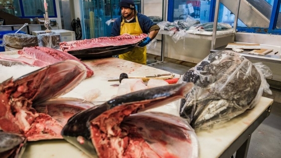 Investigadores de la UNAM descubrieron carne de delfín en atún enlatado