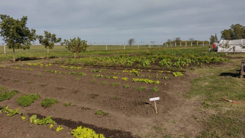 Coordinan acciones de fortalecimiento para la Agricultura Familiar en Gualeguaychú