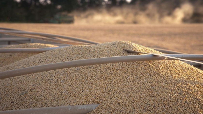 Biocombustibles: la estrategia económica para el agro en 2024